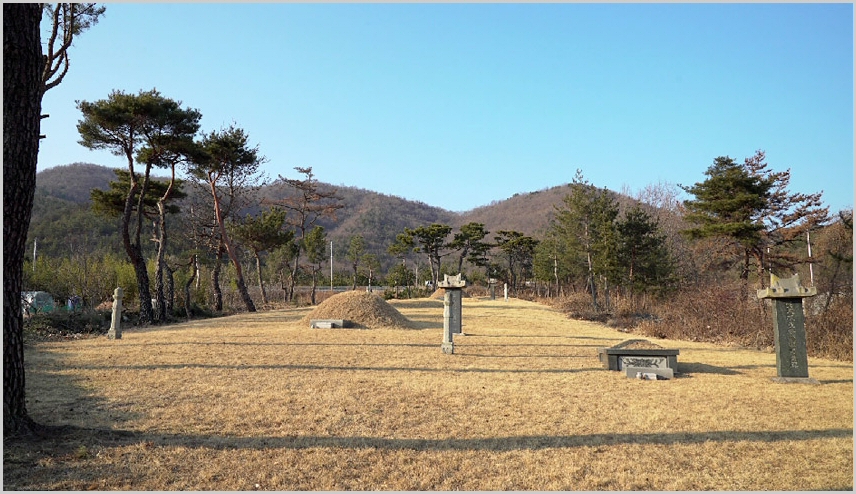 ym02.jpg